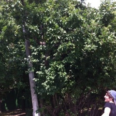 Замир Жиляев, 26.02.1992, Москва