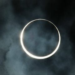 Willyam Navoyan, 16.06, Москва