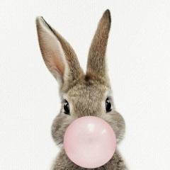 Мариша Пак, 22.05, Алматы