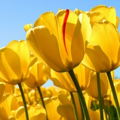 Ксюша Тимошенко, 04.10, Ростов-на-Дону