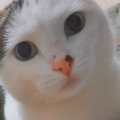 Любовь Кравченко, 06.05, Харьков