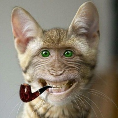 Серёга Черпальцев, 21.05.1984, Рыбница