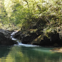 Антон Бархатов, 06.03, Краснодар