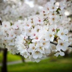 Альбина Юсупова, 23.09, Казань