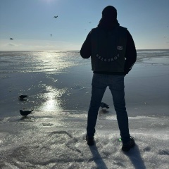 Денис Митров, 15.09.1987, Белгород