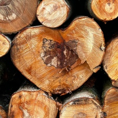 Юлия Третьякова, 19.09.1985