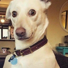 Артём Хлебников, 22.08.1992, Москва