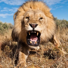 Арыстанбек Ермекбай, 15.12.1988, Алматы