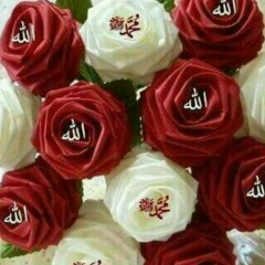 Венера Венера