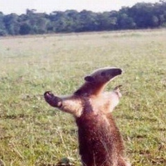 Ігор Трофимчук, 12.04.1989, Костополь