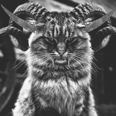 Антон Крылов, 04.06.1988, Симферополь