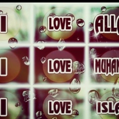 Gul'mira Shamieva, 13.02.1992, Алматы