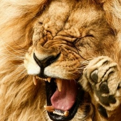 Сергей Сычёв, 20.01.1990, Киев