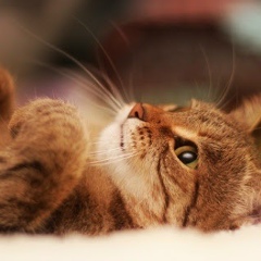 Мария Кудряшова, 30.07, Киев