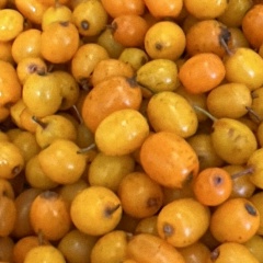 Роман Скородумов, 10.07, Москва