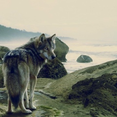 Ghost Live, 24.12, Москва