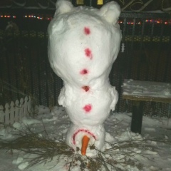 Дмитрий Люминарский, 09.12, Воронеж