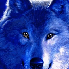 Аслан Аслан, 11.06.1997, Тверь