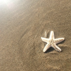 Вера Фирсанова, 13.05.1993, Киев