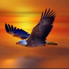 Wunna Tun, 05.07.1978