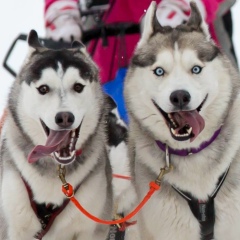 Crafty Devil, 20.08, Санкт-Петербург