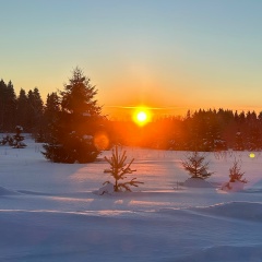 Галина Коваленко, 27.02, Вологда