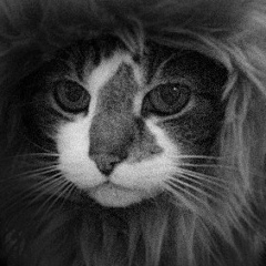 Кристина Карманова, 27.07