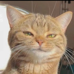 Денис Зеленкин, 05.08