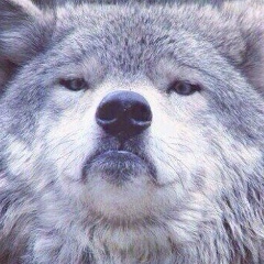 Дмитрий Букин, 17.06.1984, Челябинск