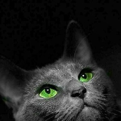 Таня Трошина, 09.03, Ногинск