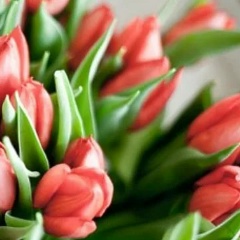 Людмила Курбатова, 04.09, Ижевск