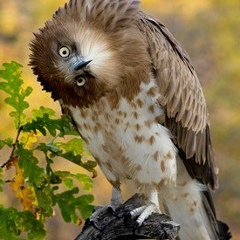 Тамара Гладышева, 01.04, Тюмень