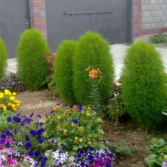 Айгерим Ахметова, 26.02.1989, Алматы