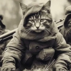 Владимир Нон, 08.11, Петропавловск-Камчатский