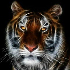 Антон Тапкин, 05.03, Адыгейск