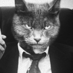 Алексей Перов, 14.10, Москва