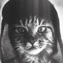 Алексей Ажар, 26.09.1989, Апатиты