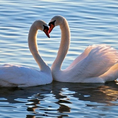 Надежда Мясоедова, 12.12.1986, Белгород