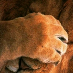 Тимур Мухтаров, 22.12.1987, Тобольск