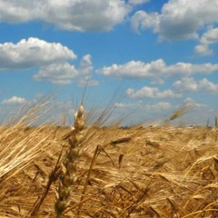 Кирилл Егоров, 25.05, Санкт-Петербург