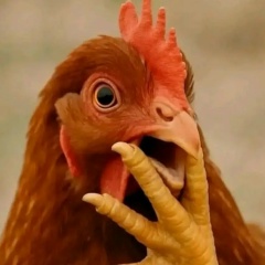 Maria Gromova, 03.07, Таллин