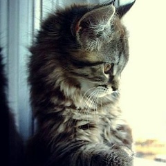 Галина Малина, 24.09.1990, Атырау