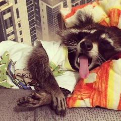 Петр Птицын, 21.12, Якутск