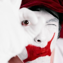 Евгений Хромин, Владимир