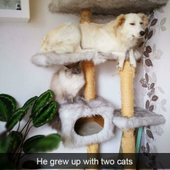 Travis Tennill, 21.11.1984, Lubbock