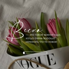 Елизавета Скрипниченко, Архангельск