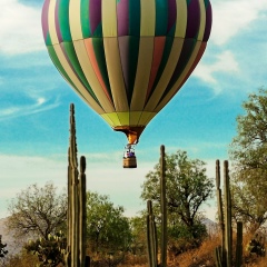Екатерина Лысая, 16.09, Одесса