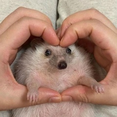 Сергей Викторович, 23.08.1981, Сарапул