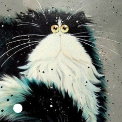 Анита Четвертакова, Санкт-Петербург