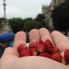 Михаил Леднев, Батуми